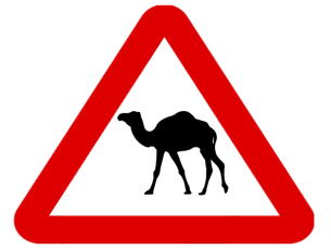 Road Sign